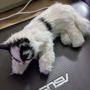 Cat doll real soft fur vintage 80s collectables